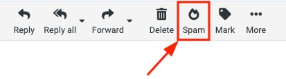 Spam button in the email toolbar highlighted for reporting a phishing message