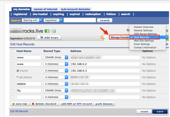 eNom domain overview dropdown with Host Records highlighted for DNS zone management