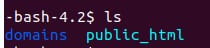 Terminal showing SSH directory listing with domains and public_html folders highlighted