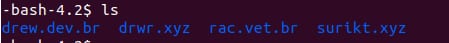 Terminal showing .bash_history and several domain names listed, with one highlighted in blue