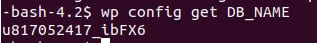 Hostinger VPS terminal showing wp config get DB_NAME command output with database name u817052417_ibFX6